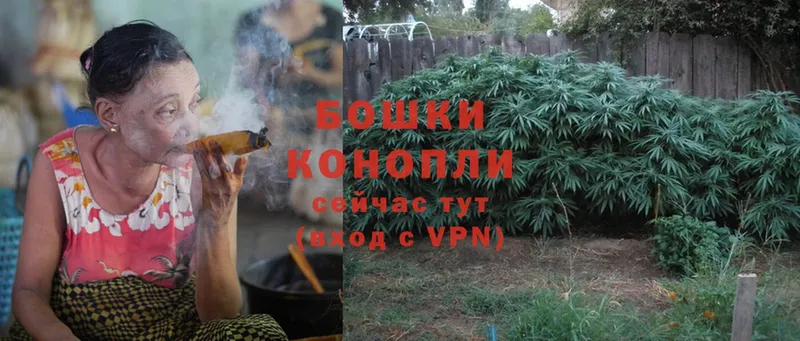 Бошки Шишки THC 21%  купить наркоту  Тольятти 